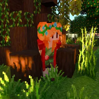 DX Faithful SkinPack