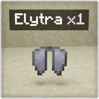 Holograms on dropped items 