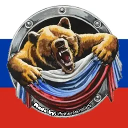 Project SBIR(Bomj in Russia)