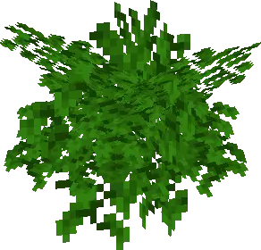 Tree Leaves Bushy