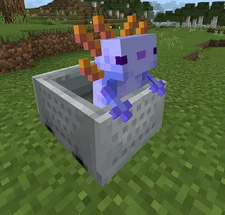 Axolotl Minecarts