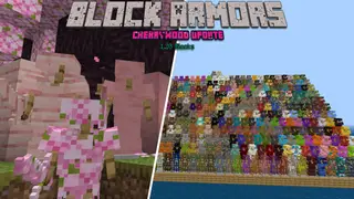 Block Armor Addon Full Version