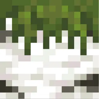 BirchExpansion