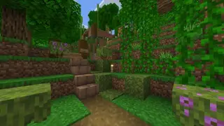 lush jungle