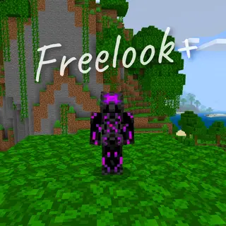 Freelook+