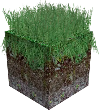 RTX_GRASS