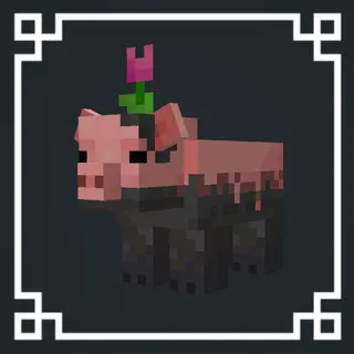 barely default-pigs