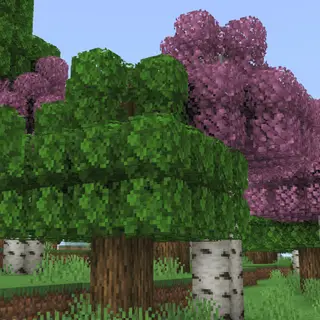 Trees Plus+