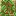 Lush Creeping Vines