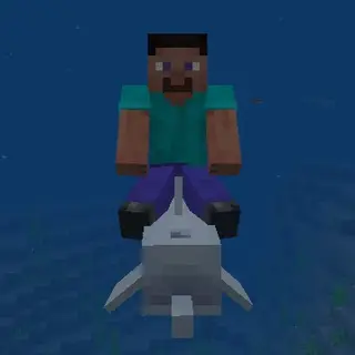 Tameable Dolphins