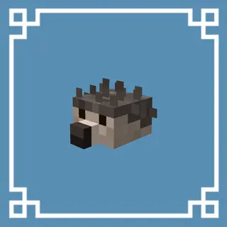 hedgehogs