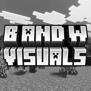 Black & White Visuals