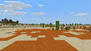 Africa - Survival World