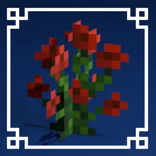 Better Flowers