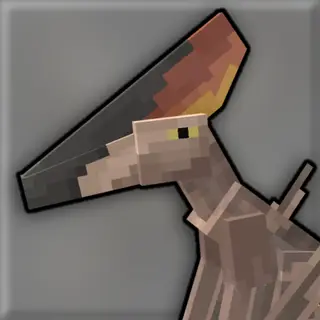 The Fossil Record