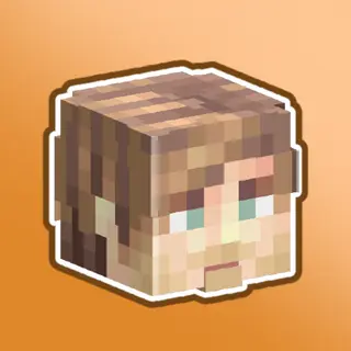 Custom Player Heads