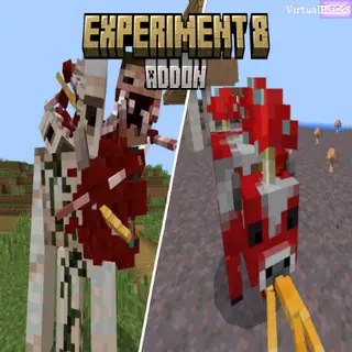 Experiment 8