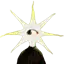 Java Broken