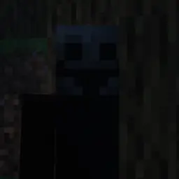 TheFakePlayer