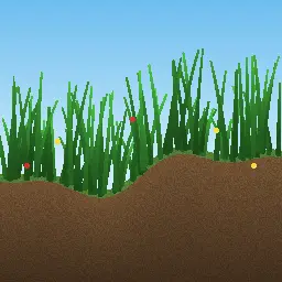 Lush Meadows